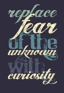 quote fear vs curiosity 